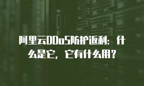 阿里云DDoS防护返利：什么是它，它有什么用？