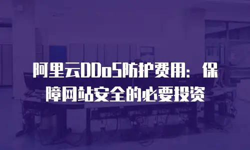 阿里云DDoS防护费用：保障网站安全的必要投资