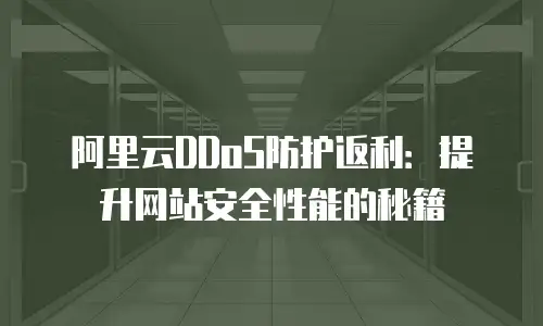 阿里云DDoS防护返利：提升网站安全性能的秘籍