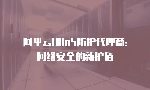 阿里云DDoS防护代理商：网络安全的新护盾