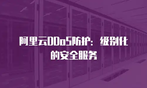 阿里云DDoS防护：级别化的安全服务