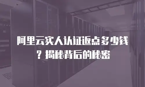阿里云实人认证返点多少钱？揭秘背后的秘密