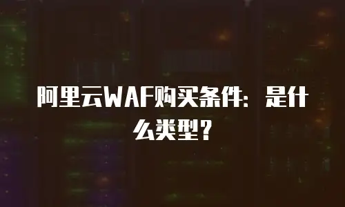阿里云WAF购买条件：是什么类型？
