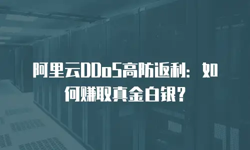 阿里云DDoS高防返利：如何赚取真金白银？