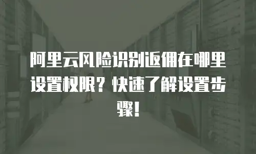 阿里云风险识别返佣在哪里设置权限？快速了解设置步骤！