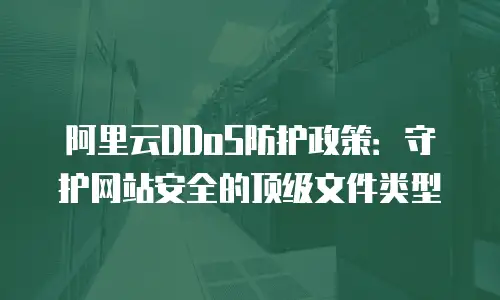 阿里云DDoS防护政策：守护网站安全的顶级文件类型