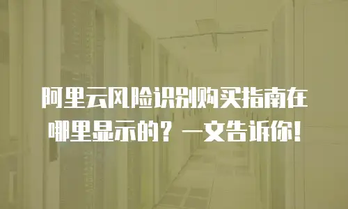 阿里云风险识别购买指南在哪里显示的？一文告诉你！