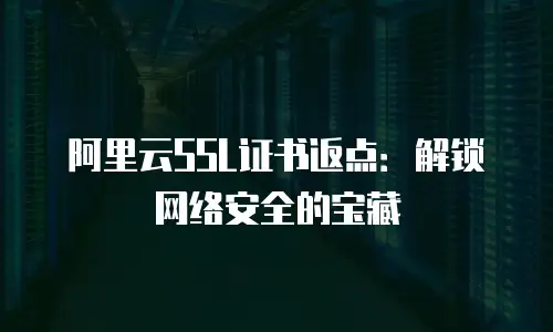 阿里云SSL证书返点：解锁网络安全的宝藏