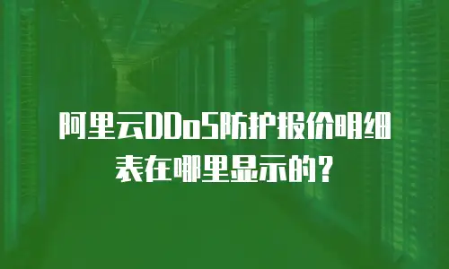 阿里云DDoS防护报价明细表在哪里显示的？