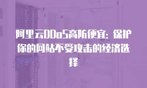 阿里云DDoS高防便宜: 保护你的网站不受攻击的经济选择