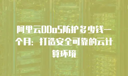 阿里云DDoS防护多少钱一个月：打造安全可靠的云计算环境