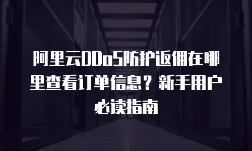 阿里云DDoS防护返佣在哪里查看订单信息？新手用户必读指南