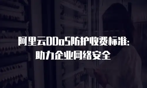 阿里云DDoS防护收费标准：助力企业网络安全