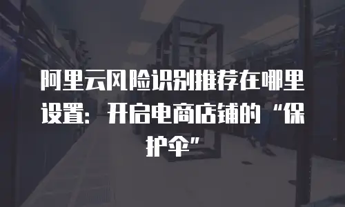 阿里云风险识别推荐在哪里设置：开启电商店铺的“保护伞”
