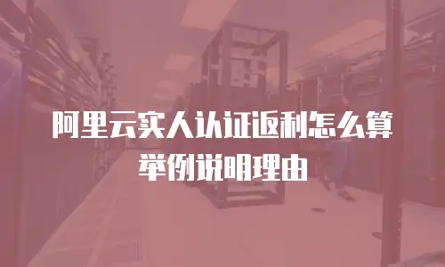 阿里云实人认证返利怎么算举例说明理由