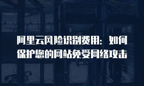 阿里云风险识别费用：如何保护您的网站免受网络攻击