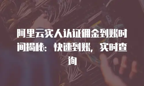阿里云实人认证佣金到账时间揭秘：快速到账，实时查询