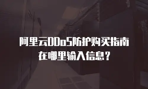 阿里云DDoS防护购买指南在哪里输入信息？