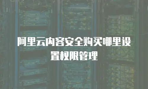 阿里云内容安全购买哪里设置权限管理