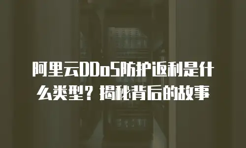 阿里云DDoS防护返利是什么类型？揭秘背后的故事