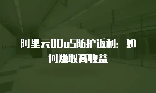 阿里云DDoS防护返利：如何赚取高收益