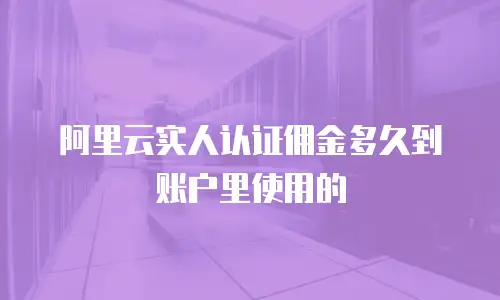 阿里云实人认证佣金多久到账户里使用的