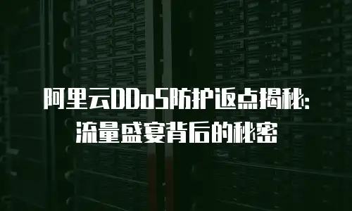 阿里云DDoS防护返点揭秘：流量盛宴背后的秘密