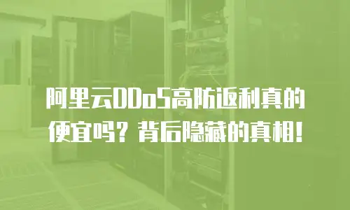 阿里云DDoS高防返利真的便宜吗？背后隐藏的真相！