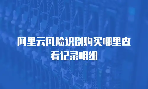 阿里云风险识别购买哪里查看记录明细