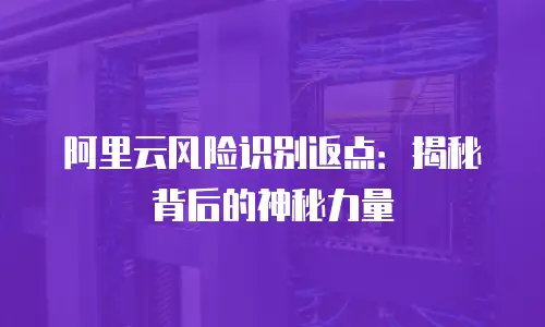阿里云风险识别返点：揭秘背后的神秘力量