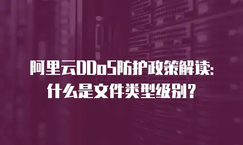 阿里云DDoS防护政策解读：什么是文件类型级别？