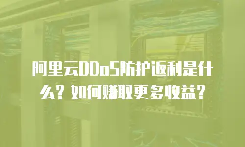 阿里云DDoS防护返利是什么？如何赚取更多收益？