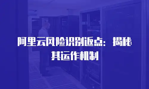 阿里云风险识别返点：揭秘其运作机制
