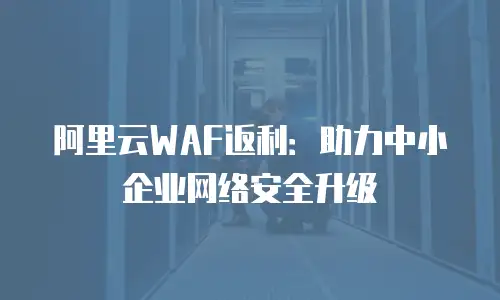 阿里云WAF返利：助力中小企业网络安全升级