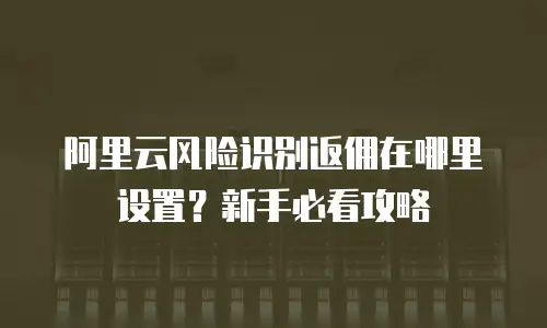 阿里云风险识别返佣在哪里设置？新手必看攻略