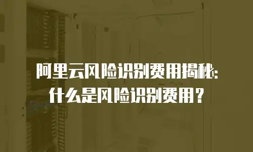 阿里云风险识别费用揭秘：什么是风险识别费用？