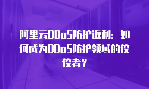 阿里云DDoS防护返利：如何成为DDoS防护领域的佼佼者？