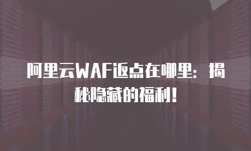 阿里云WAF返点在哪里：揭秘隐藏的福利！