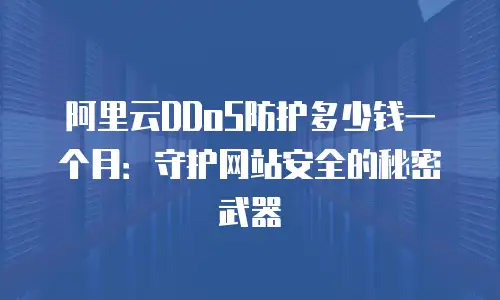 阿里云DDoS防护多少钱一个月：守护网站安全的秘密武器