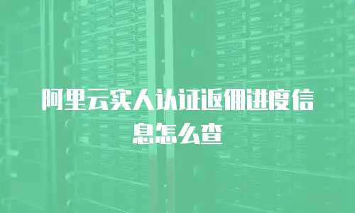 阿里云实人认证返佣进度信息怎么查