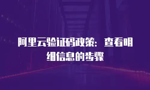阿里云验证码政策：查看明细信息的步骤