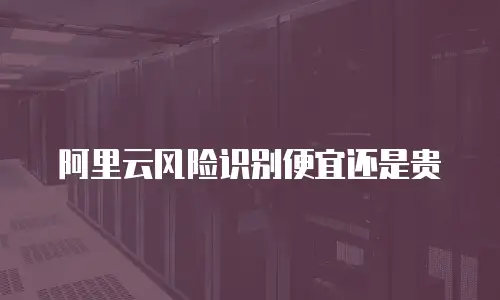 阿里云风险识别便宜还是贵