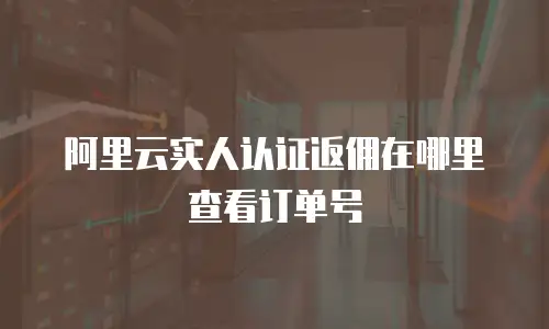 阿里云实人认证返佣在哪里查看订单号
