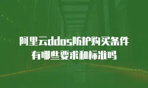 阿里云ddos防护购买条件有哪些要求和标准吗