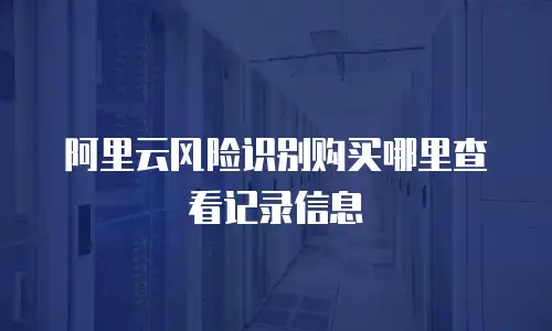 阿里云风险识别购买哪里查看记录信息