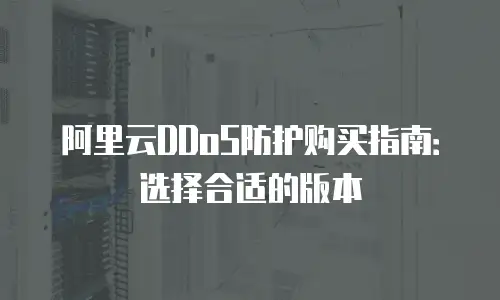 阿里云DDoS防护购买指南：选择合适的版本