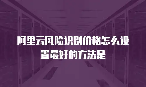 阿里云风险识别价格怎么设置最好的方法是