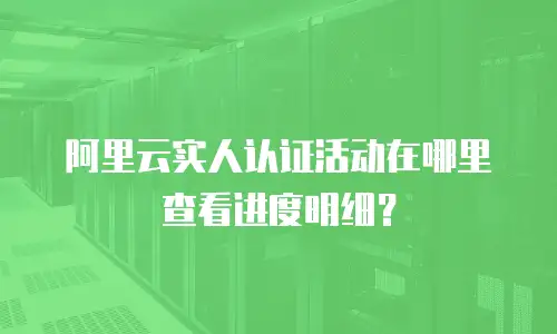 阿里云实人认证活动在哪里查看进度明细？