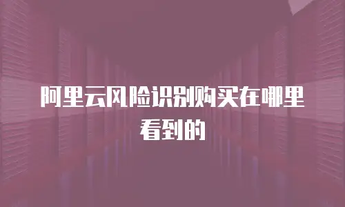 阿里云风险识别购买在哪里看到的