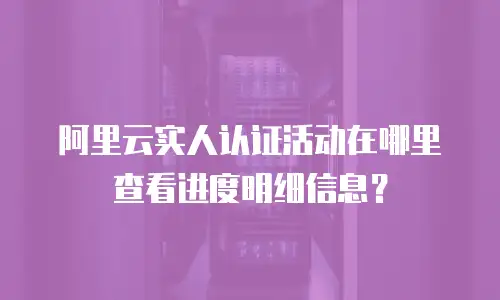 阿里云实人认证活动在哪里查看进度明细信息？
